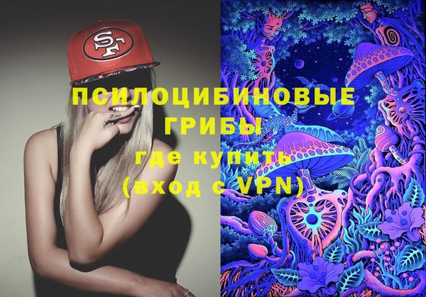 spice Лиски