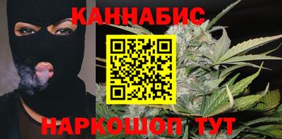 шишки Камышлов