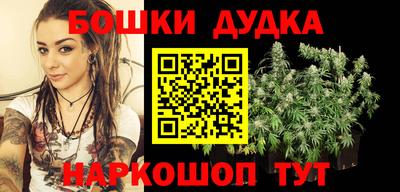 шишки Камышлов