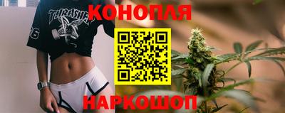 крисы Кандалакша