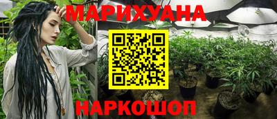 крисы Кандалакша