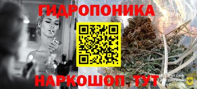 шишки Камышлов