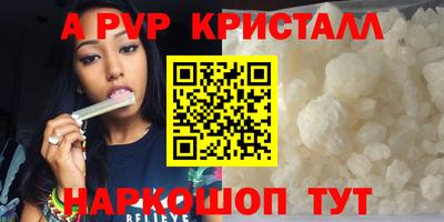 шишки Камышлов