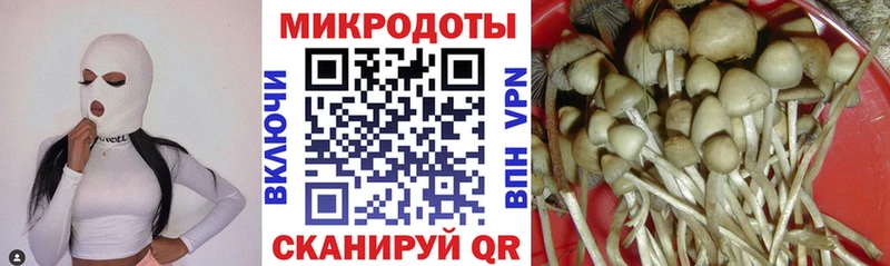 Галлюциногенные грибы MAGIC MUSHROOMS  Североуральск 